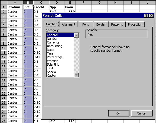 Excel spreadsheet with Text format dialog