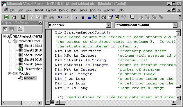 Appearance of Visual Basic editor window